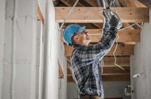 Best Industrial Electrical Services  in St Louis, MI
