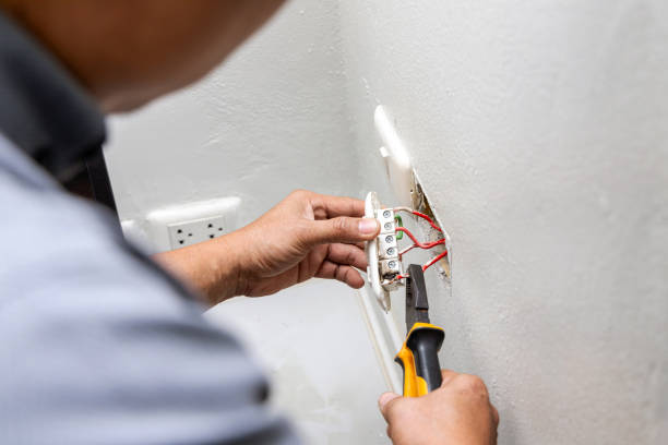 Best Ceiling Fan Installation Electrician  in St Louis, MI