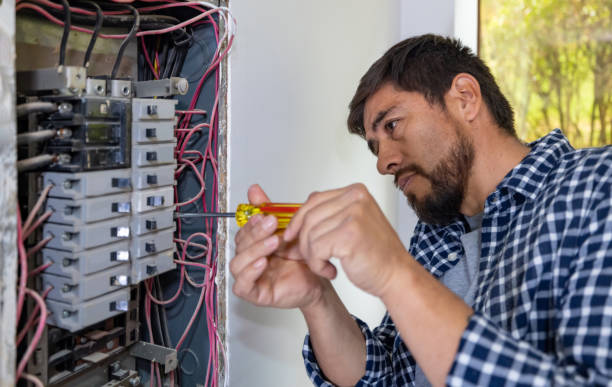 Best Electrician for Home Renovation  in St Louis, MI
